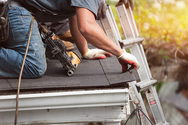 Best Roof Gutter Cleaning  in West Ishpeng, MI